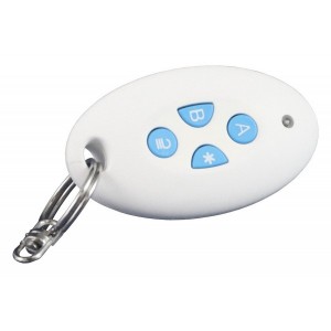 I-FB01 wireless key fob